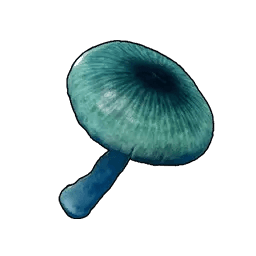 Mysterious Mushroom