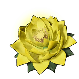 Stamina Lotus (L)