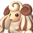 Woolipop Terra