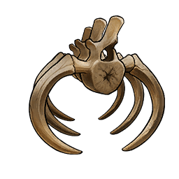 Ancient Bone