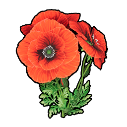 Beautiful Flower