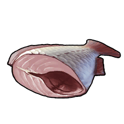 Fish Meat