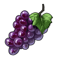 Grape