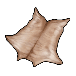 Leather 2
