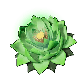 Life Lotus (L)