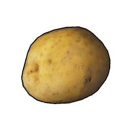 Potato