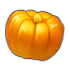Pumpkin