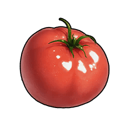 Tomato