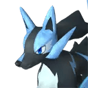 Rayhound Cryst